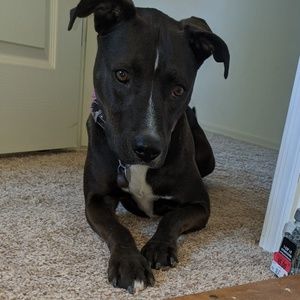 Meet your Posher, Jamie